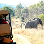 Ekuthuleni Lodge Picture 7