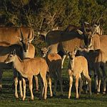 De Hoop Opstal Camp Picture 7