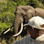 Gorah Elephant Camp Picture 7