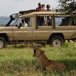 Sarova Mara Game Camp Picture 7