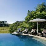 Phinda Forest Lodge Picture 7