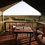 Addo Main Rest Camp Picture 7