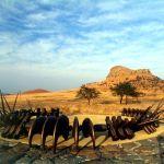 Isandlwana Lodge Picture 7