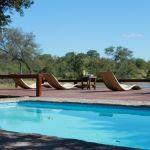 Gomo Gomo Game Lodge Picture 7