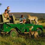 Okonjima Main Camp Picture 7