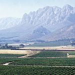 Rovos Rail - Cape Town to George Route Picture 7