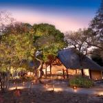 Ngala Safari Lodge Picture 7