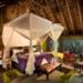Jaci's Safari Lodge