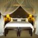 Makweti Safari Lodge