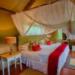 Chapungu Luxury Tented Camp