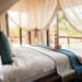Little Madikwe