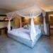 Olive Grove Guest House