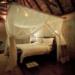 Pumba Bush Lodge: Stay 3 nights for the price of 2.