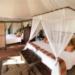 Thula Thula Tented Camp
