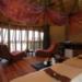 Sossus Dune Lodge