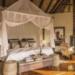 Tuningi Safari Lodge