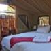 Shindzela Tented Safari Camp