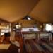 Jongomero Camp
