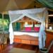 Samburu Intrepids Camp