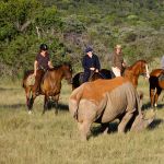 horse-riding1