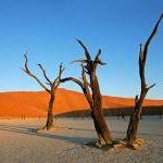 Sossusvlei-and-the-Namib-Desert