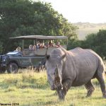 Lalibela Game Reserve - Mark's Camp - CopyrightFINAL2