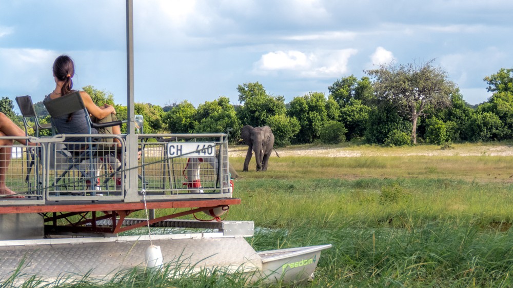 Boat Based Game Viewing