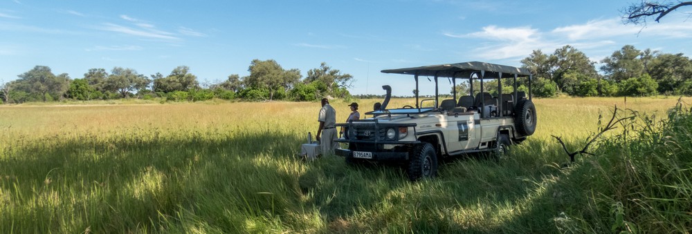 Morning Coffee, Okavango Delta