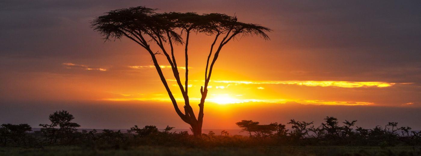 The Geoffrey Kent Suite – A New Family Suite In The Masai Mara