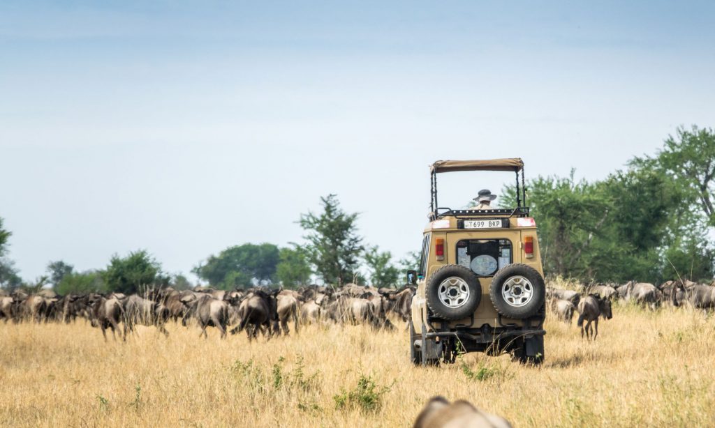 A private escorted tour through the Serengeti