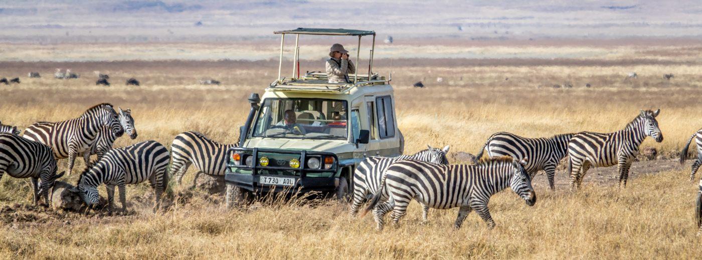 Safari Travel In The Age Of Covid-19