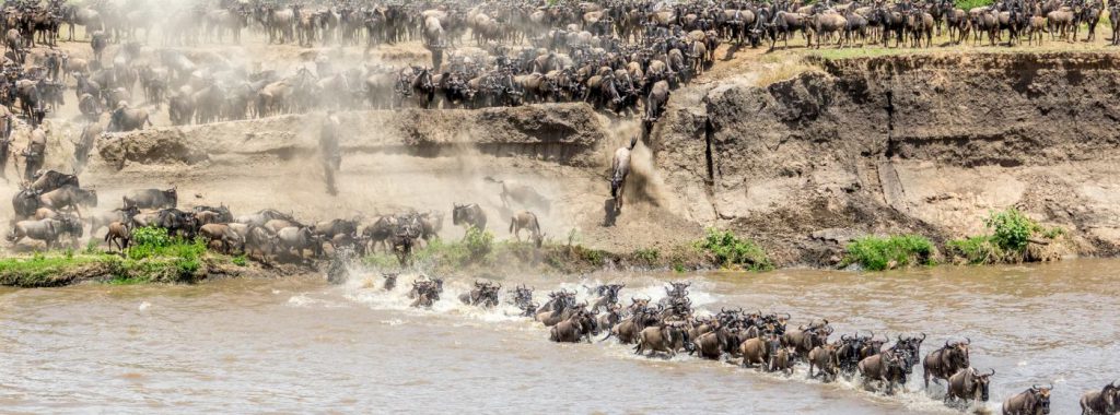 Crossing the Mara River