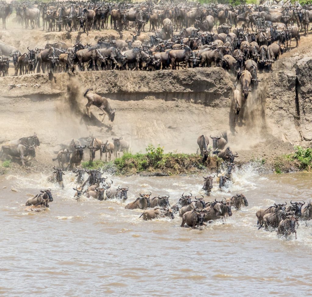 Crossing the Mara River