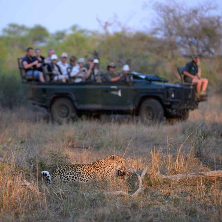 Game drive from budget safari lodge in South Africa.