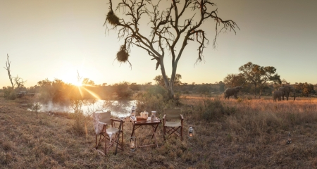 Coffee at the waterhole