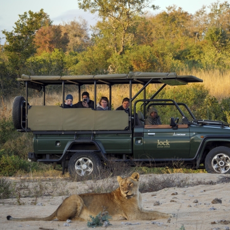 Game drive sighting from Jock Safari Lodge