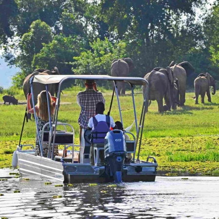 Elephant on the riverbank, seen from a boat cruise from Bakers Lodge