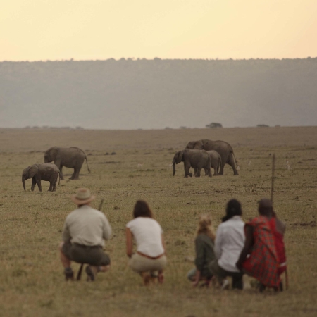 Game walk from Elephant Pepper Camp in the Mara North Conservancy