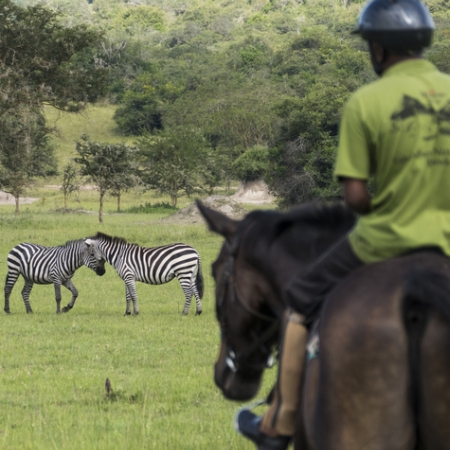 Horse Safari in Lake Mburo NP