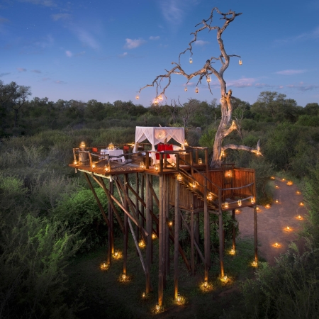 Treehouse experience at Lion Sands River Lodge