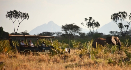 Elephant sighting on a game drive in Meru National Park from Elewana Elsa's Kopje