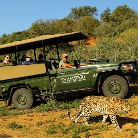 Tracking a leopard, malaria-free Shamwari Game Reserve.