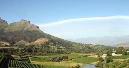 Franschhoek Wine Route