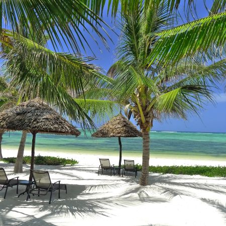 Sun Loungers on the Beach