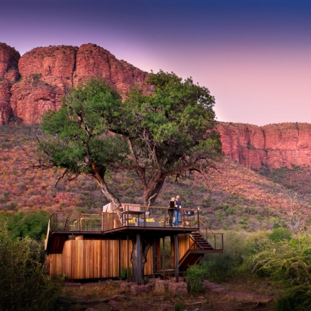 Thabametsi Tree House