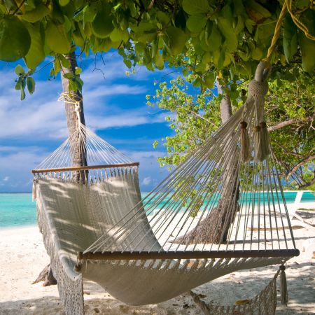 Relax in a hammock after your exciting safari