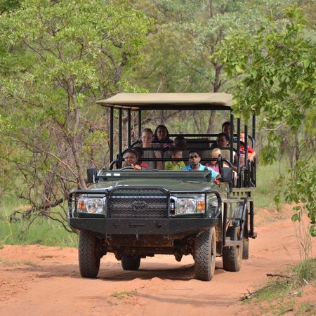 Family Game Drive at Mabula Game Lodge