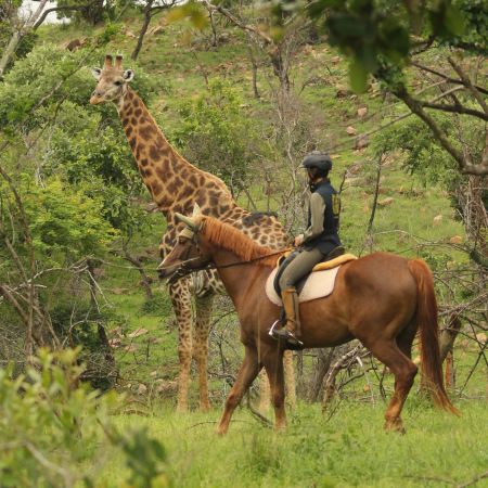 Horseback Safari at Pakamisa