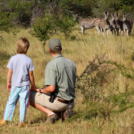 Watching Zebra at Ants Reserve in the Welgevonden, South Africa