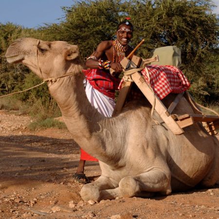 Camel Trekking